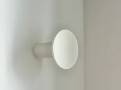 Wall hook with embedded screw