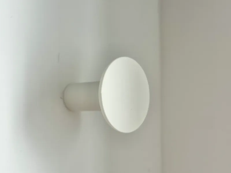 Wall hook with embedded screw