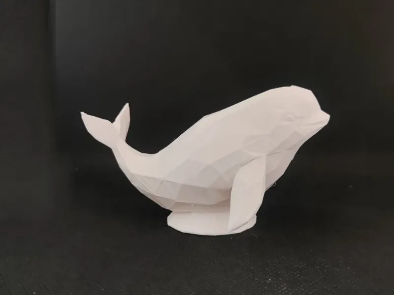 低边形白鲸