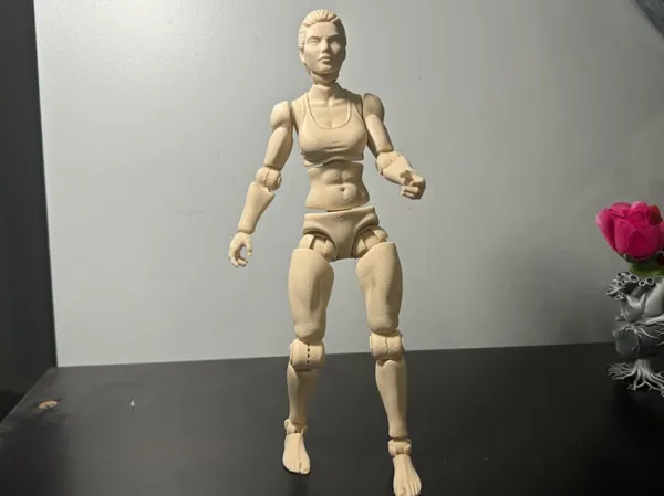 https://makerworld.bblmw.com/makerworld/model/US817d91e2beb553/design/c98de1bb7728abc3.jpeg