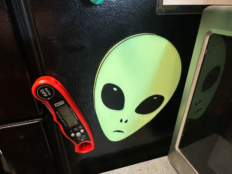 Huge Alien Head Fridge Magnet