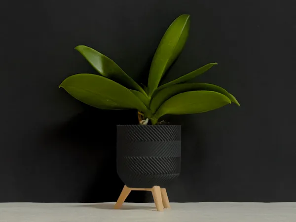 https://makerworld.bblmw.com/makerworld/model/US8183967bd6b34/design/2025-02-07_dca111879c6448.jpeg