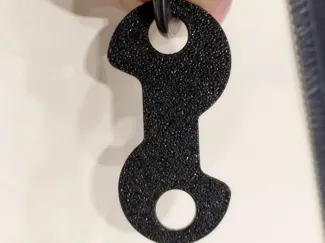 SG Trolley Token