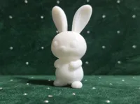Bunny