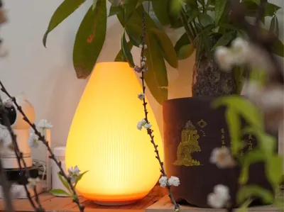 Flower bud craft lamp - No Support