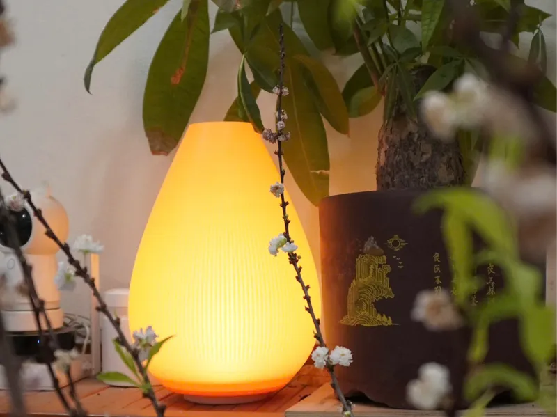 Flower bud craft lamp - No Support