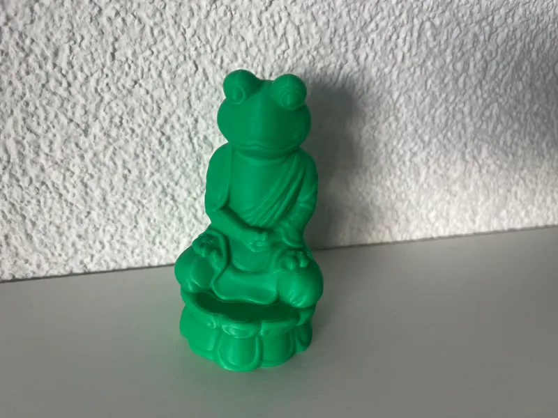 Frosch / Frog
