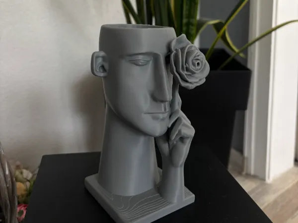 https://makerworld.bblmw.com/makerworld/model/US81914530f1c4d7/design/2025-06-04_fc84e2b2b3dbc8.jpg
