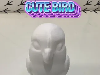 Cute bird