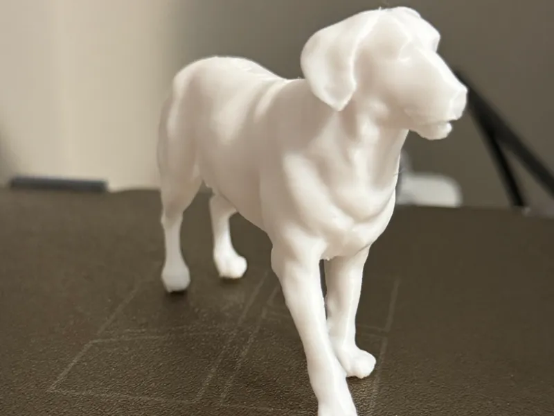 Standing Golden Retriever