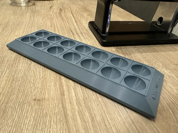 https://makerworld.bblmw.com/makerworld/model/US819da2f8d5dad3/design/2025-01-09_19805bbcfb7b6.jpeg