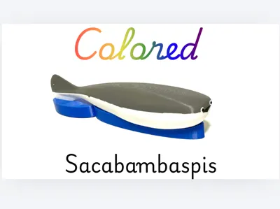 Colored sacabambaspis!