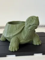PIANTINE GRASSE 8 CM - 0.2mm layer, 2 walls, 5% infill