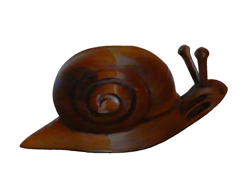 Snail