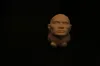 the cute duck but wait the rock