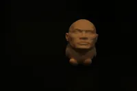 the cute duck but wait the rock