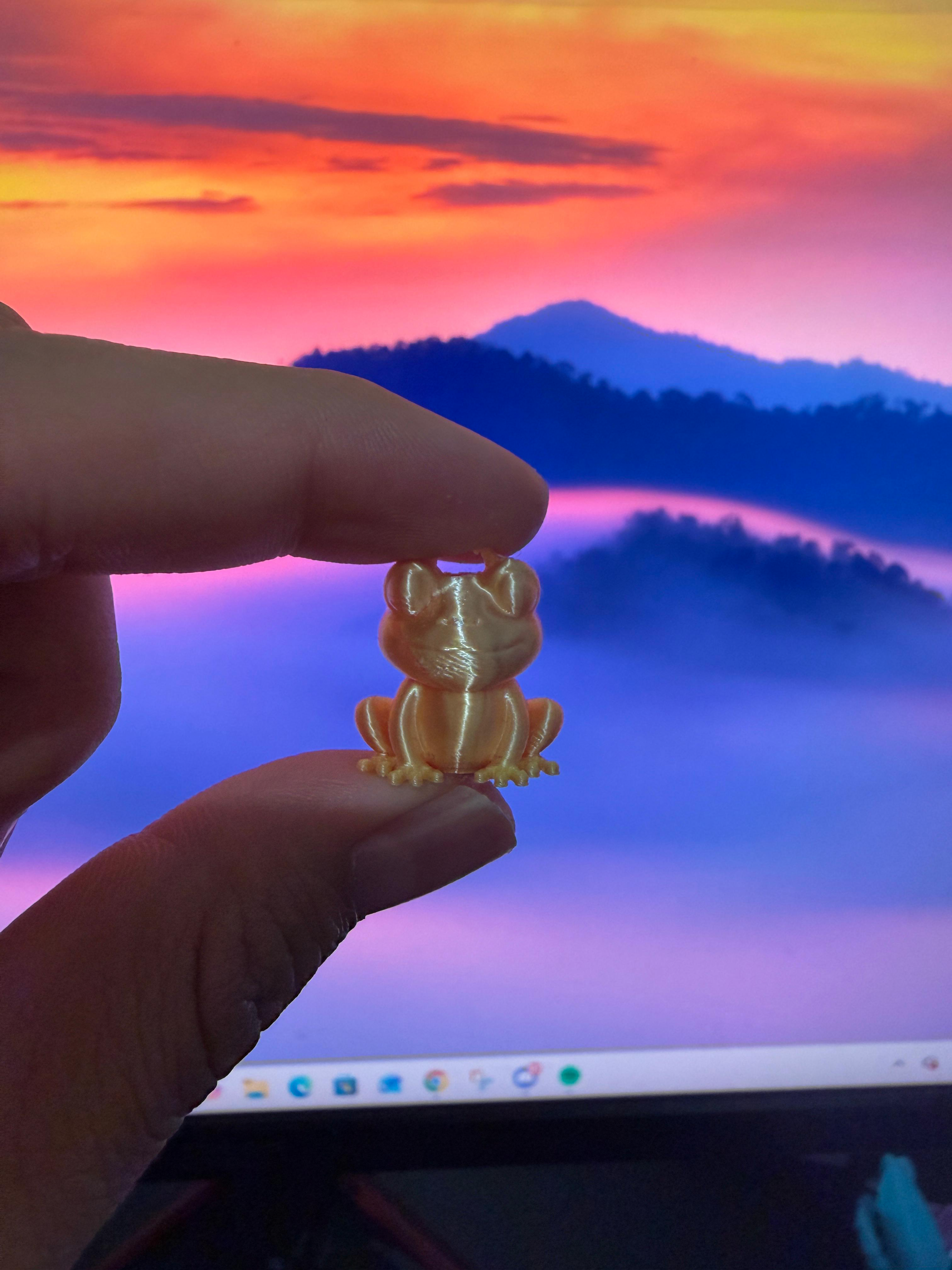 Miniatura 3 do modelo 3D Tiny Frog + Keychain 