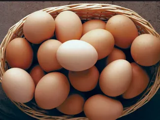 eggs
