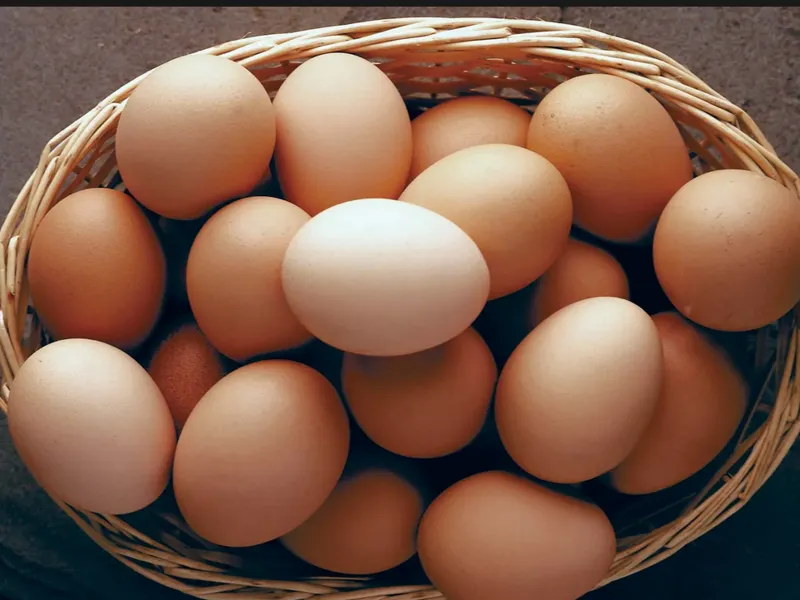 eggs