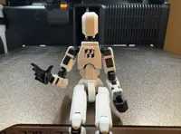 Only Maker's Torso, No AMS
