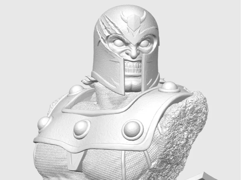 Magneto Bust