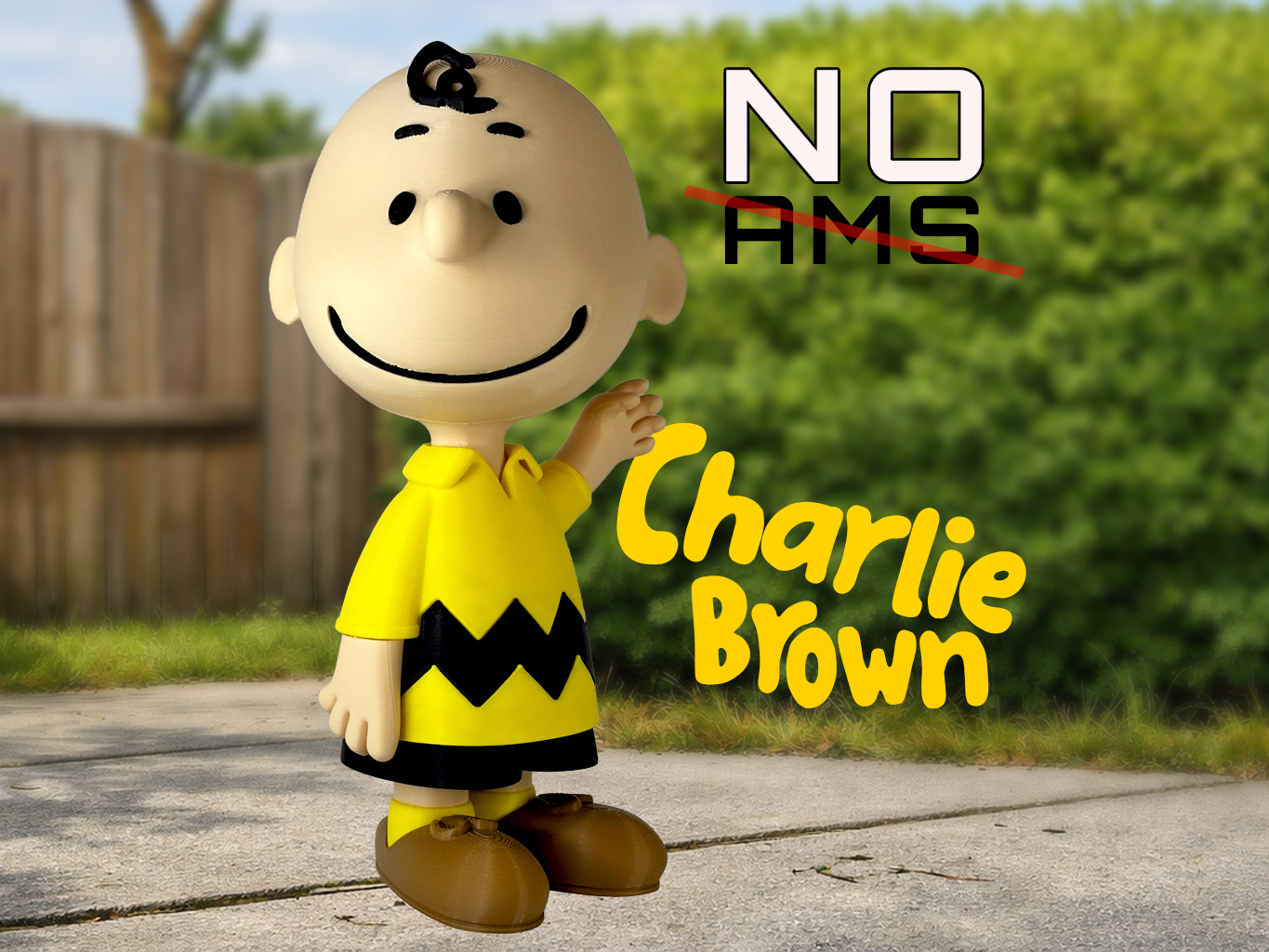 Charlie Brown (NO AMS)