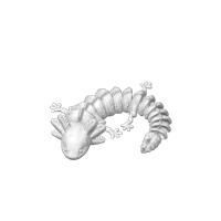 Axolotl articulé — photo 2