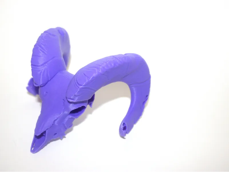 ram skull