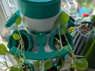 Plant support attachment for hydroTower