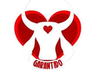 Chaveiro Boi Garantido