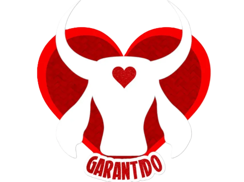 Chaveiro Boi Garantido