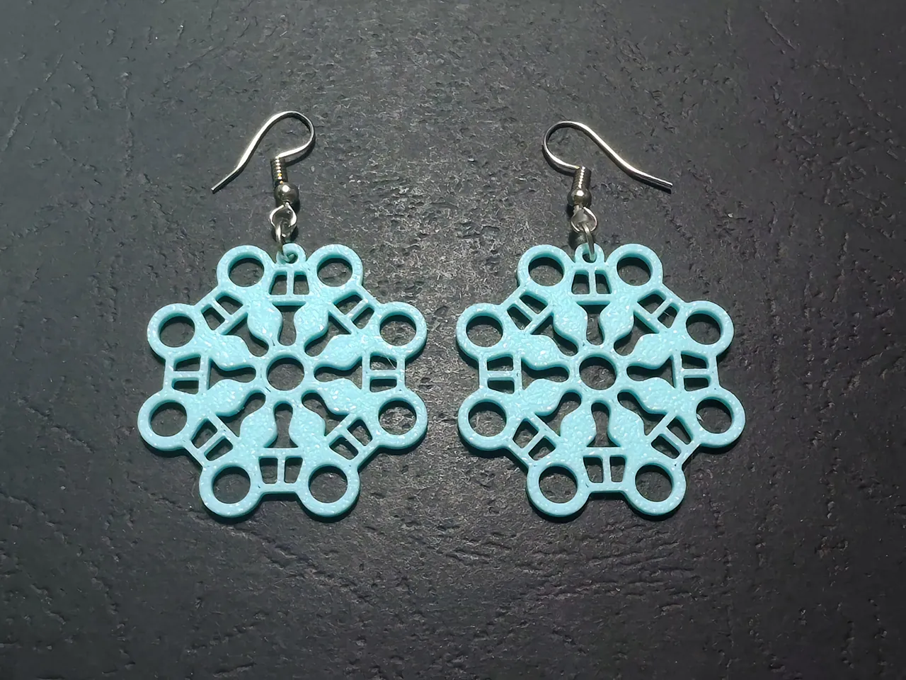 Circle of Stillness Earrings view 3