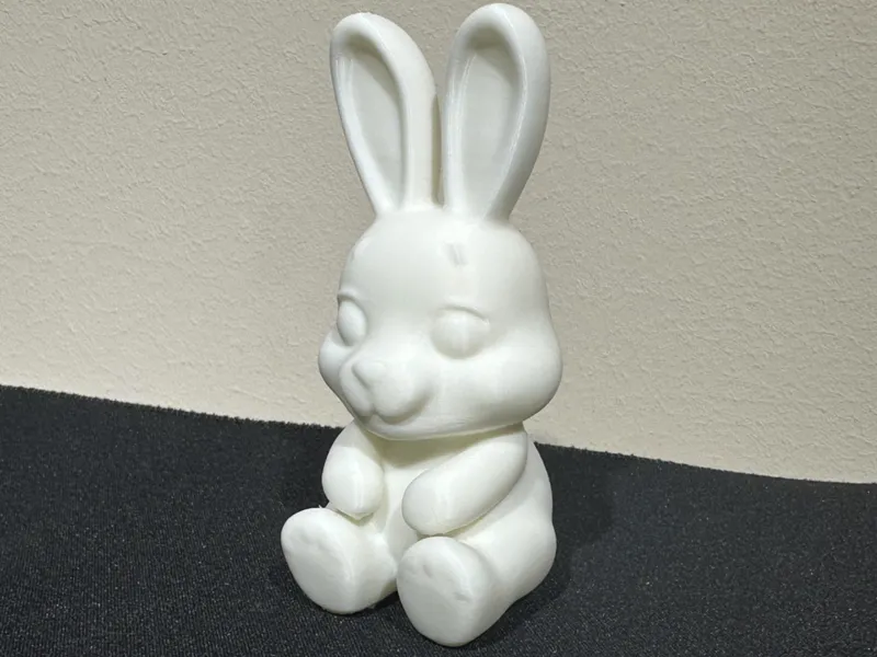 Cute Bunny