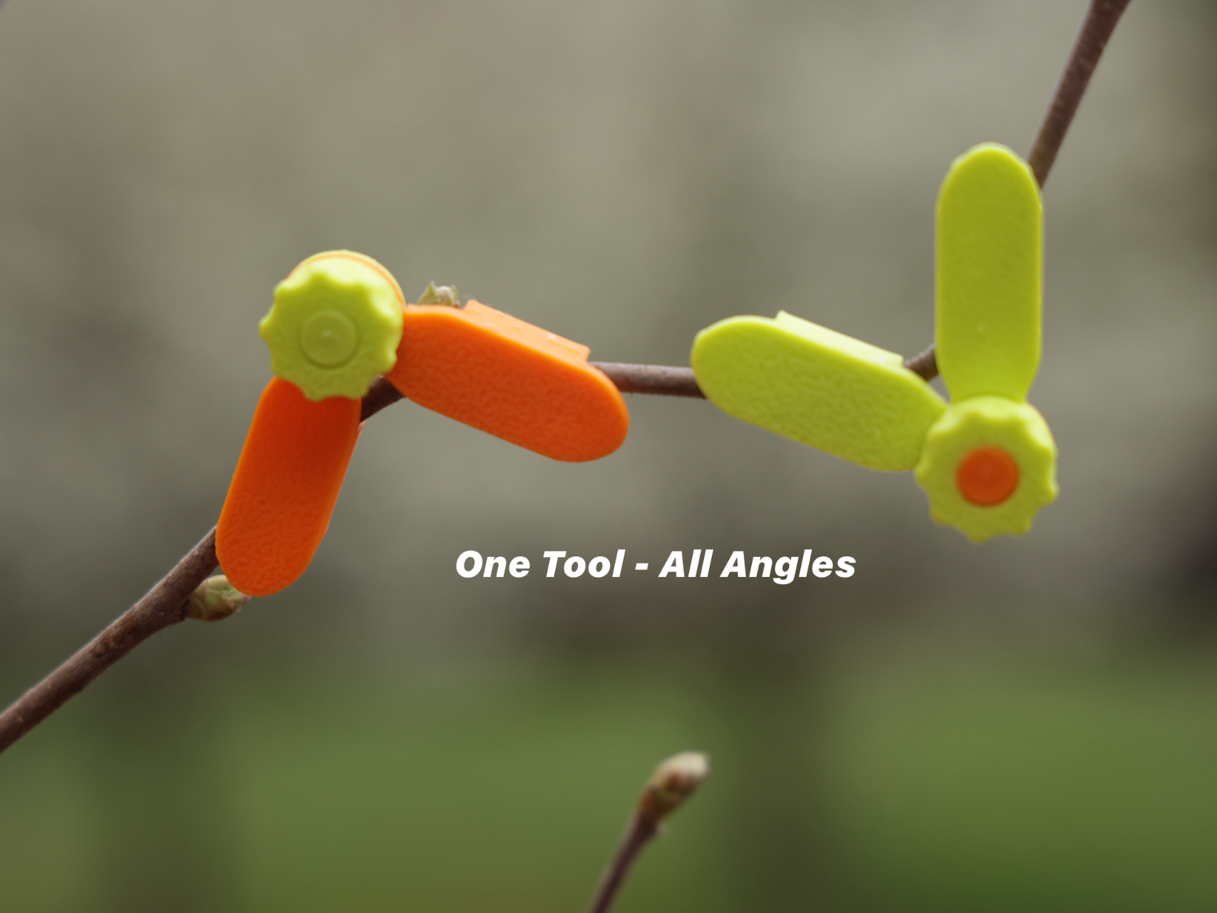 Bonsai Trainer – One Tool, All Angles, WireFree!