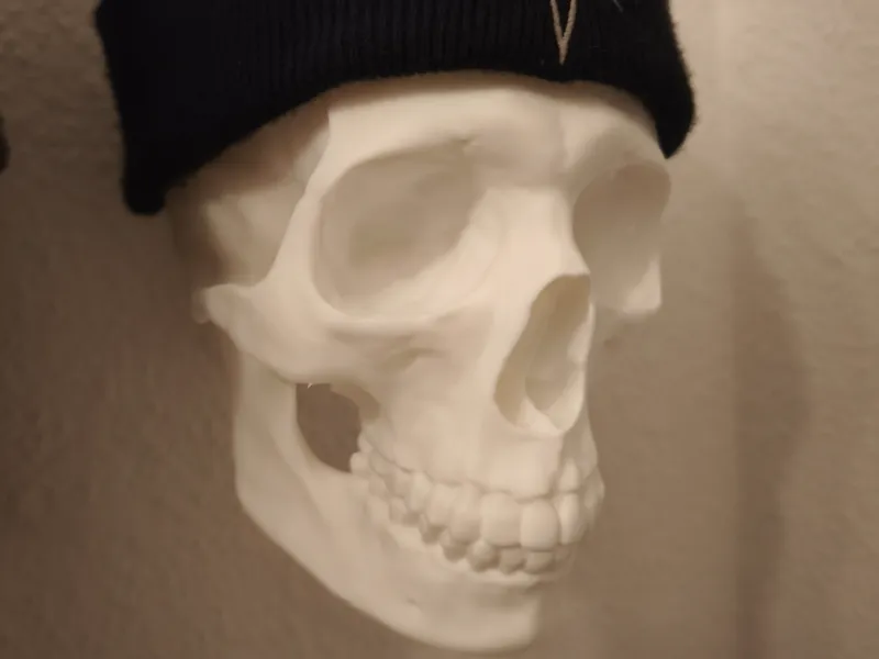 Skull hat & cap holder