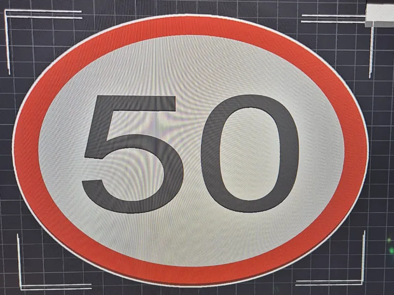 50er Schild Geburtstag