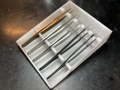 TweezersCase
