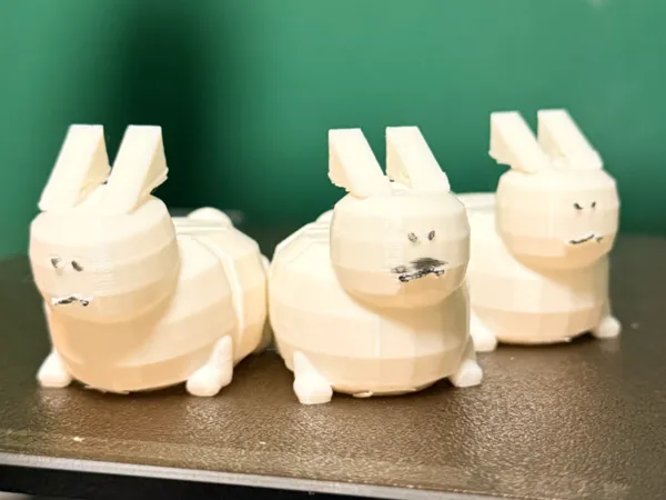 https://makerworld.bblmw.com/makerworld/model/US81cdf5bd2fa84/design/2025-11-05_955cebdb63fd58.jpeg