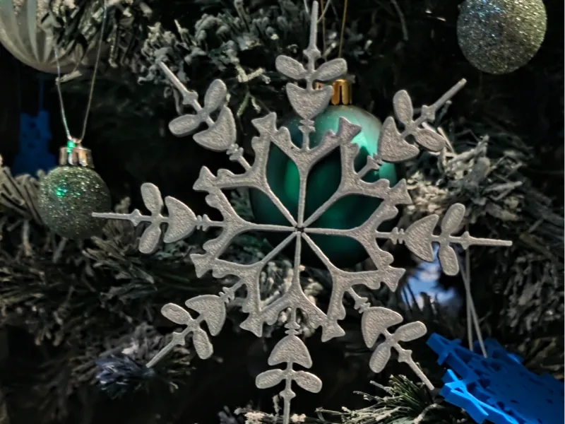 Snowflake.2