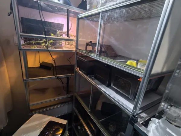 https://makerworld.bblmw.com/makerworld/model/US81d0fb99479c8/design/2025-11-19_5311c63ed1706.jpg