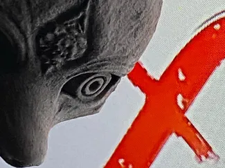 Silent hill f , Hinako Shimizu fox mask.