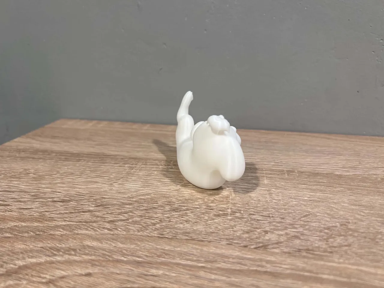 Lying Maltese - Animal - Dog - Decor view 3