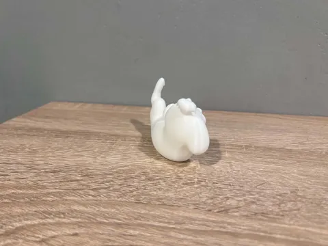 Lying Maltese - Animal - Dog - Decor view 3