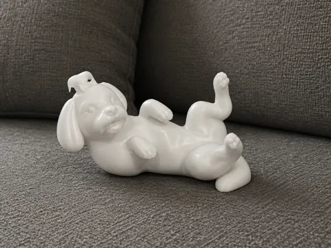 Lying Maltese - Animal - Dog - Decor