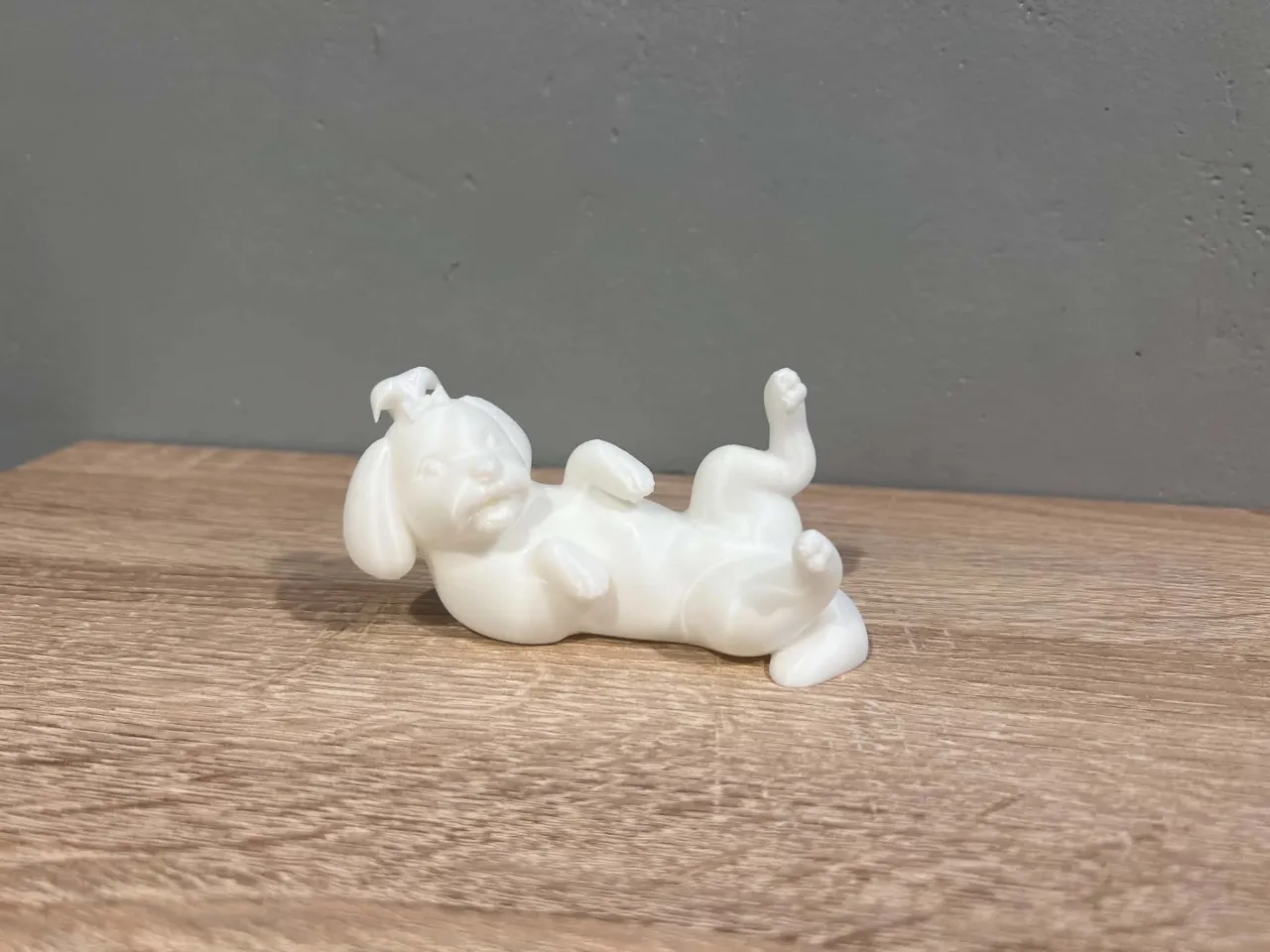 Lying Maltese - Animal - Dog - Decor view 4
