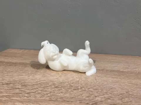 Lying Maltese - Animal - Dog - Decor view 4