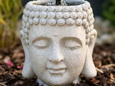 Buddha Pot