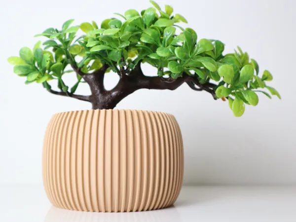 https://makerworld.bblmw.com/makerworld/model/US81ddf7b691d13f/design/2024-11-24_6d461da1215c9.jpg