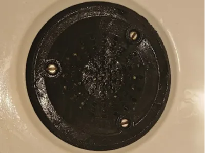 Replacement Shower Drain Cover / Strainer 