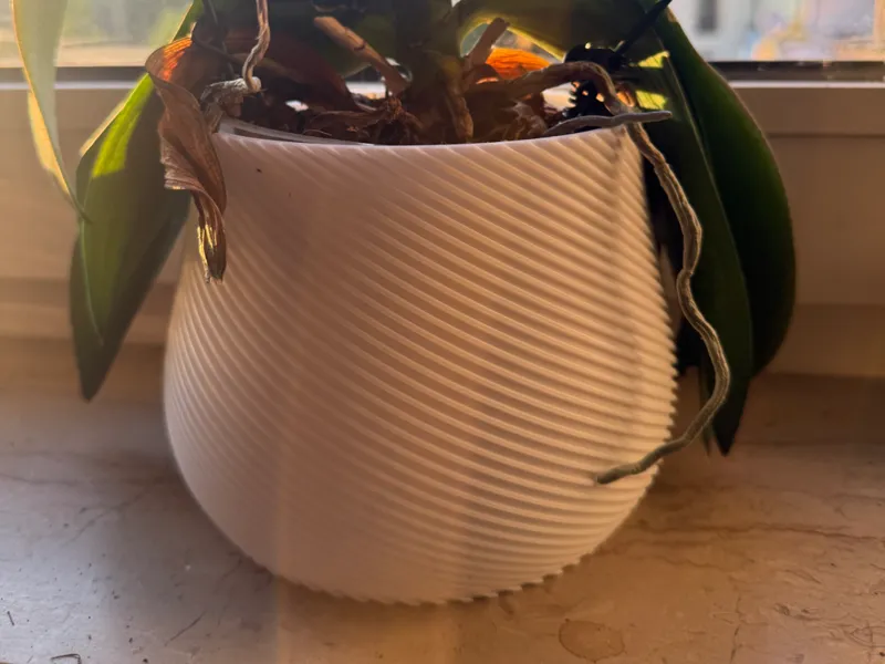 Orchid vase